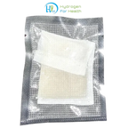 Deionizer filter for PEM inhaler systems